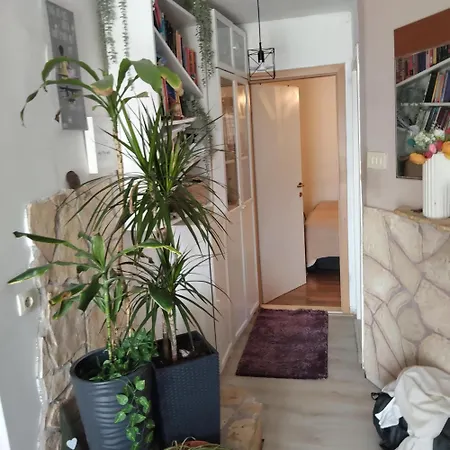 Cosy Split - In Area *
