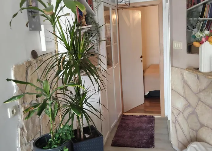 Cosy Split - In Area *