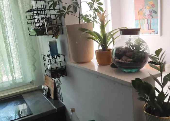 Cosy Split - In Area Apartament