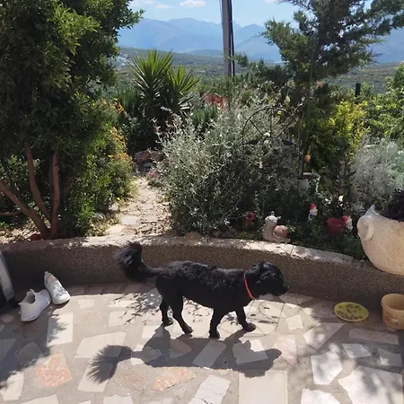 Cosy Split - In Area Солин