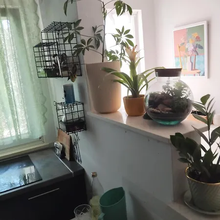 Cosy Split - In Area Апартаменты